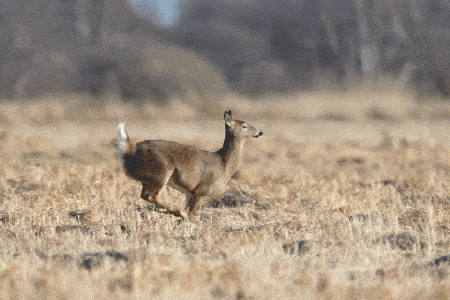 皱纹|抗皱抗衰老还在打针?用它赶走三八脸、鱼尾纹,让小朋友见到你都喊姐姐!