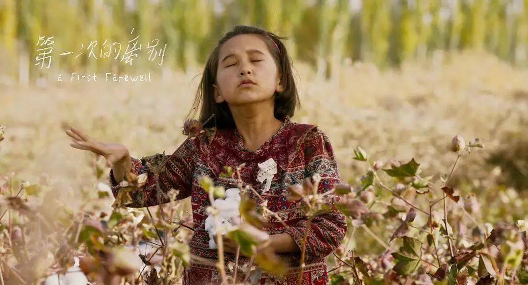 艾萨|她画下了火车，房子，所有不舍的东西，唯独没敢和艾萨告别