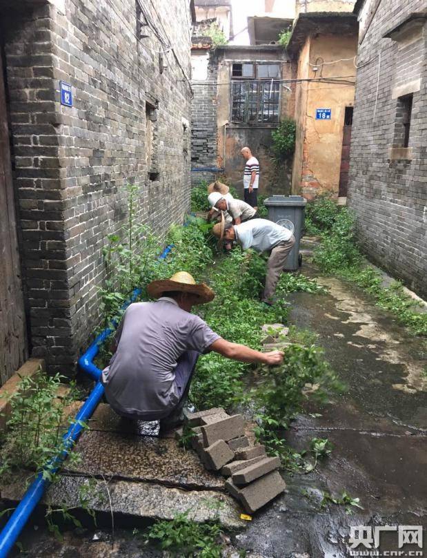 整改|广州花都区全力做好暗渠化工作 基本实现农村自然村雨污分流