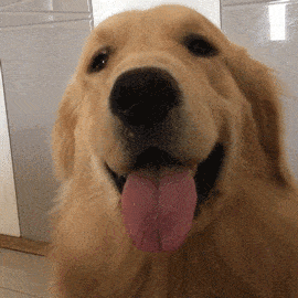 点赞,留言,点在看呀!