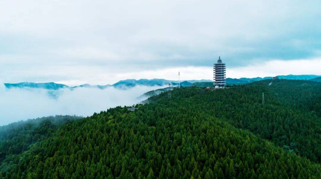 原山|【红色原山】山东原山艰苦创业教育基地｜夏