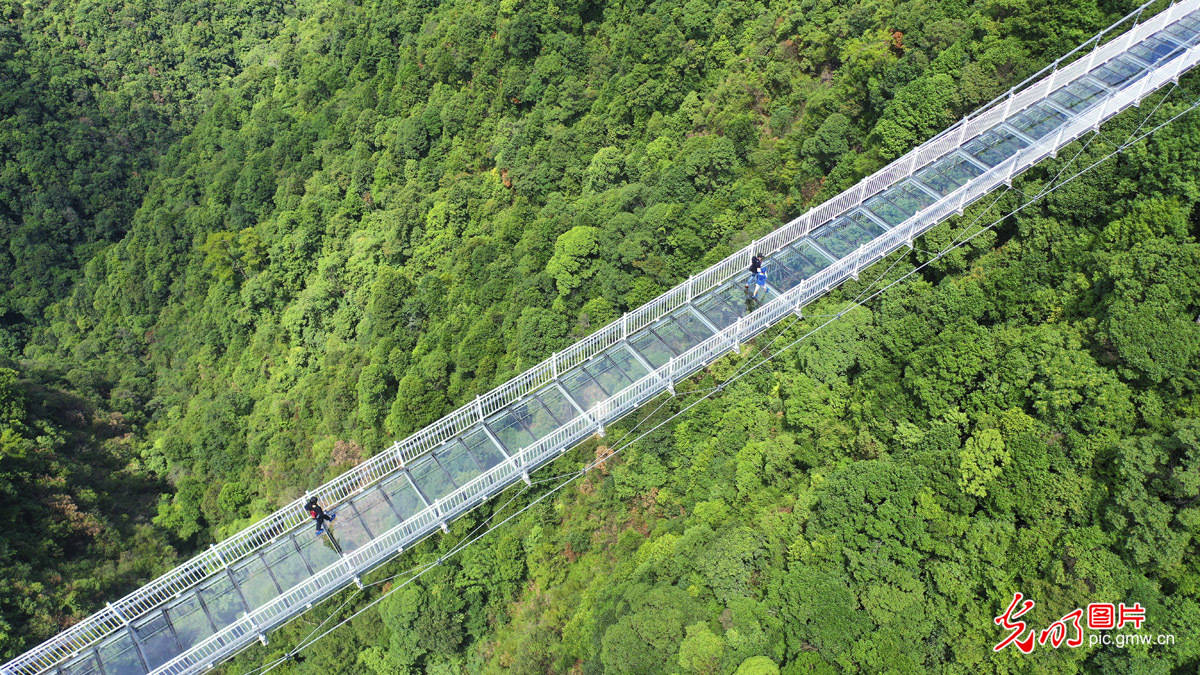 江西赣州各县2020年g_江西赣州火化2020证明