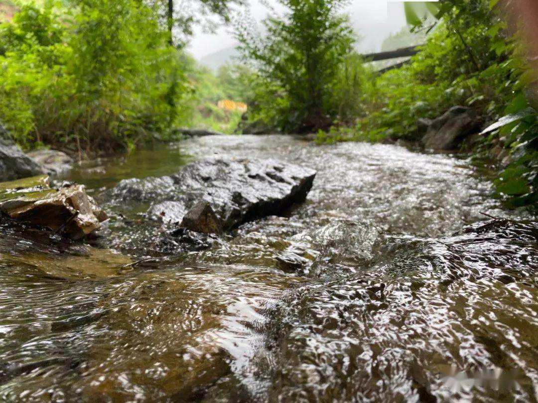 雨后山林流水潺潺