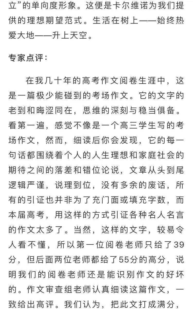 满分|阅卷时因太晦涩难懂被打39分，阅卷专家：不建议模仿！浙江高考满分作文曝光