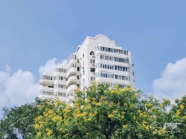 vivo|vivo最强拍照旗舰体验！你与好照片只差一台X50 Pro＋