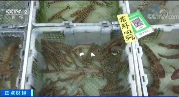 进口|大跌！很多人爱的这道菜，价格“对半砍”！