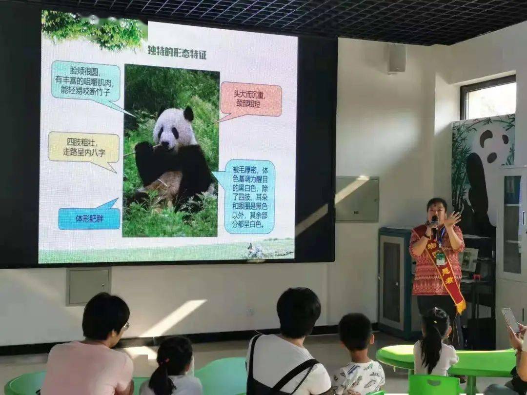 工作主要是利用周末和节假日在大熊猫馆宣教区讲解大熊猫的科普知识