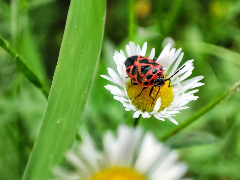 刘同学|深圳中考高分考生：面对薄弱学科不逃避，喜欢摄影捕捉美好瞬间