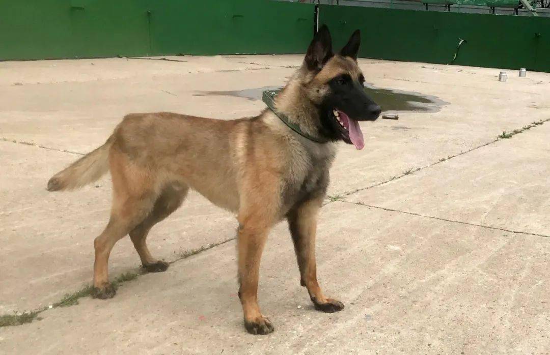 厦门日报社|超嗨！火爆抖音“鬼步舞”夫妇、网红健身达人、炫酷高科技…都来了！必须打卡