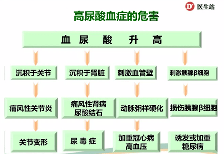 高尿酸血症的危害