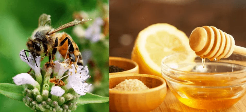 柠檬|「加大码」卫诗宣传新歌,全网惊叹:身形比得上张惠妹?!