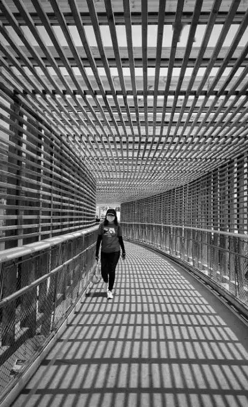 2020年第二季度河南G_1976年河南飞机坠落事