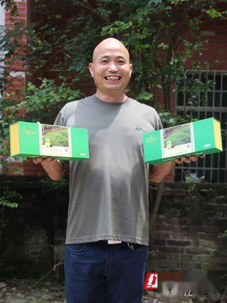 绿色思念二胡曲谱