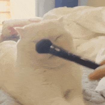 肤色|夏天变瘦靠腮红？三种堪比整容的元气腮红画法还不快安排上！