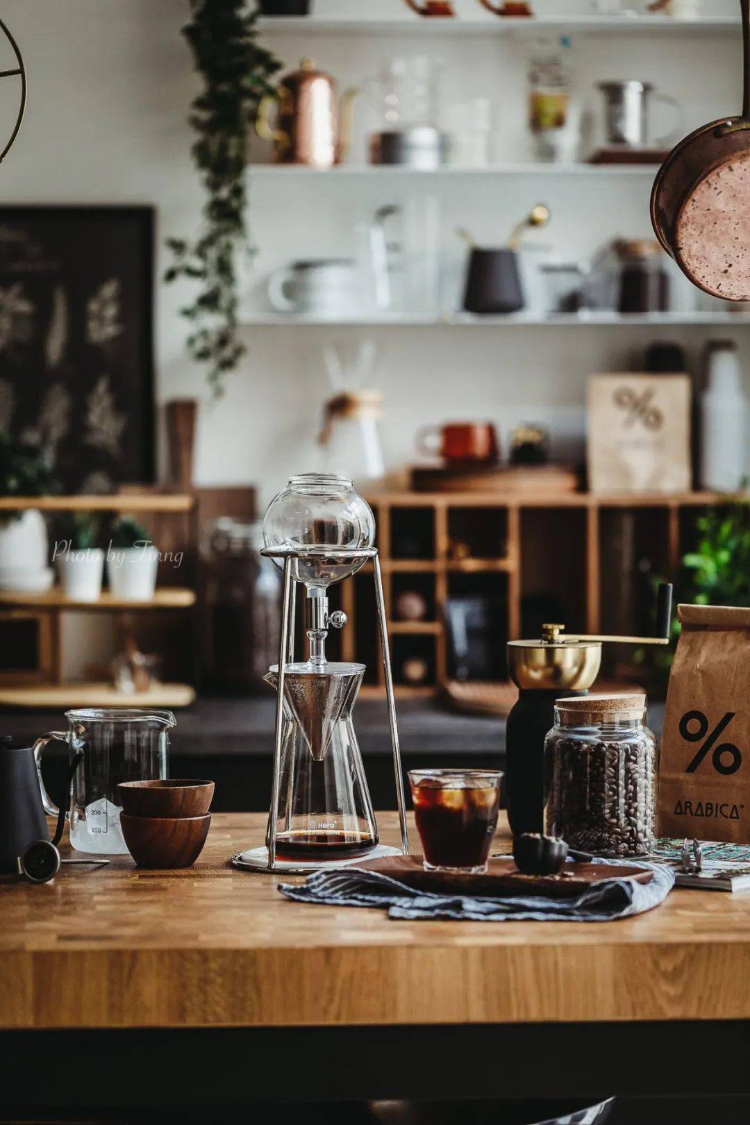 植物|她们的家，美得很让人种草