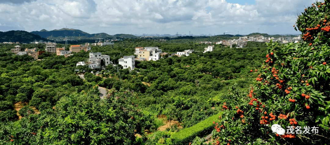 2021茂名gdp_2021茂名规划发展图(2)