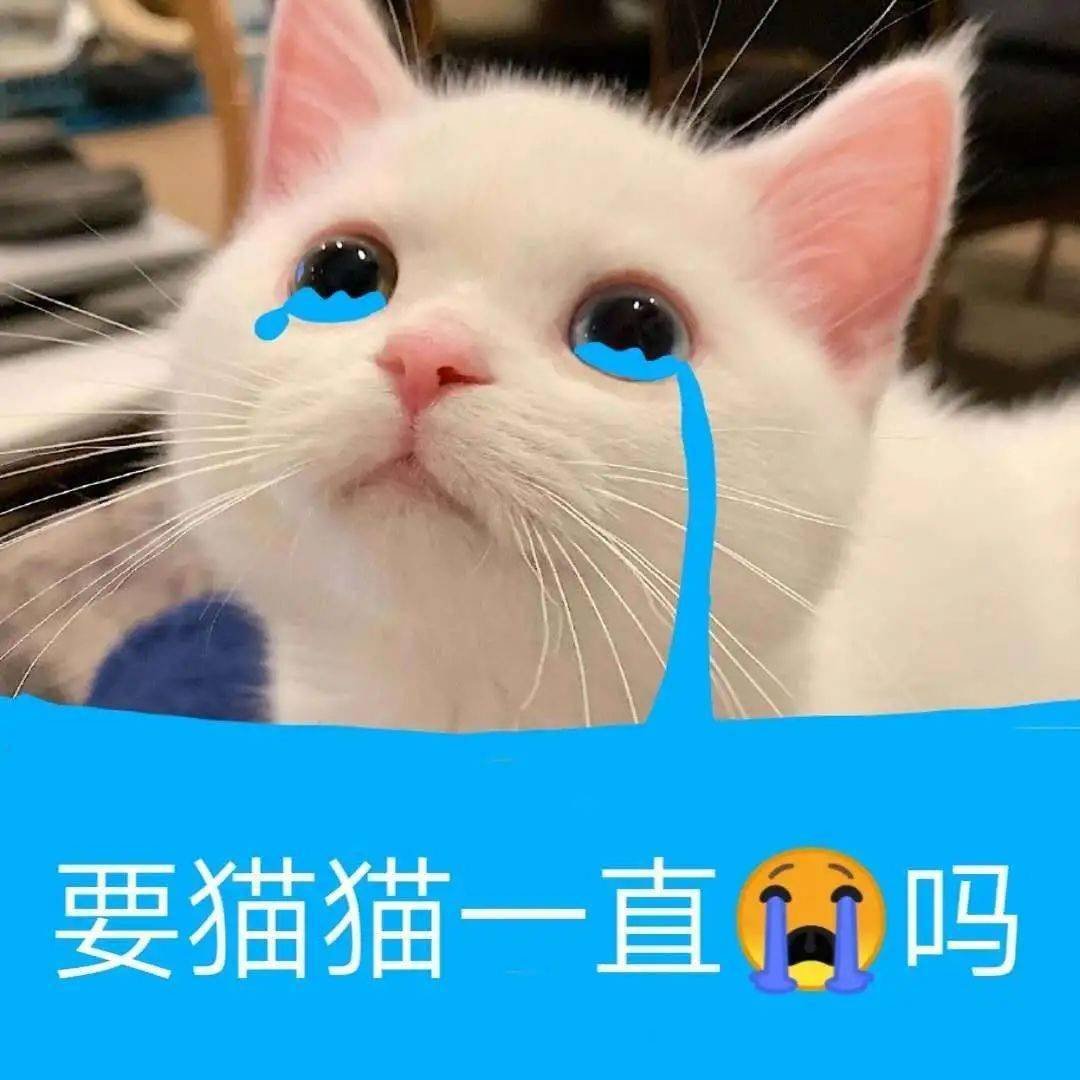 bbedfad236c845468fd5791aaae6aff6.jpeg