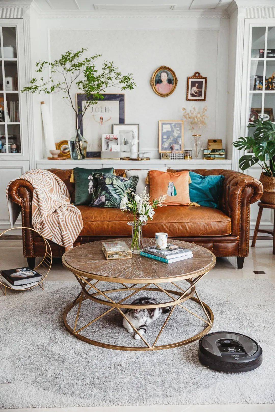 植物|她们的家，美得很让人种草