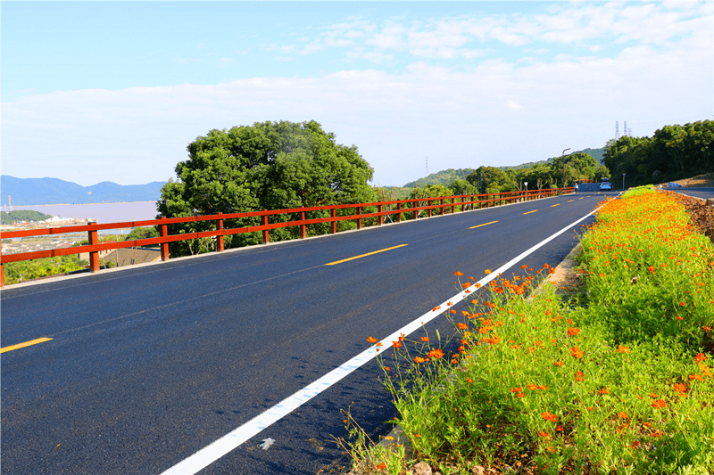 普陀这条"最美公路",带你赴一场山海盛宴