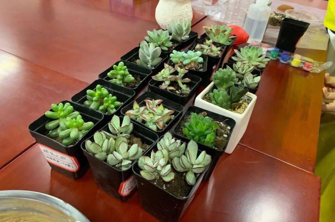 社区|FM91.1听社区 | 居住在碧春园、千吉花园的孩子们，这个暑期怎么过？