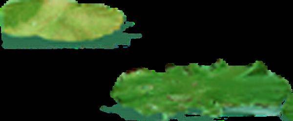 夏渐|海报 | 今日立秋