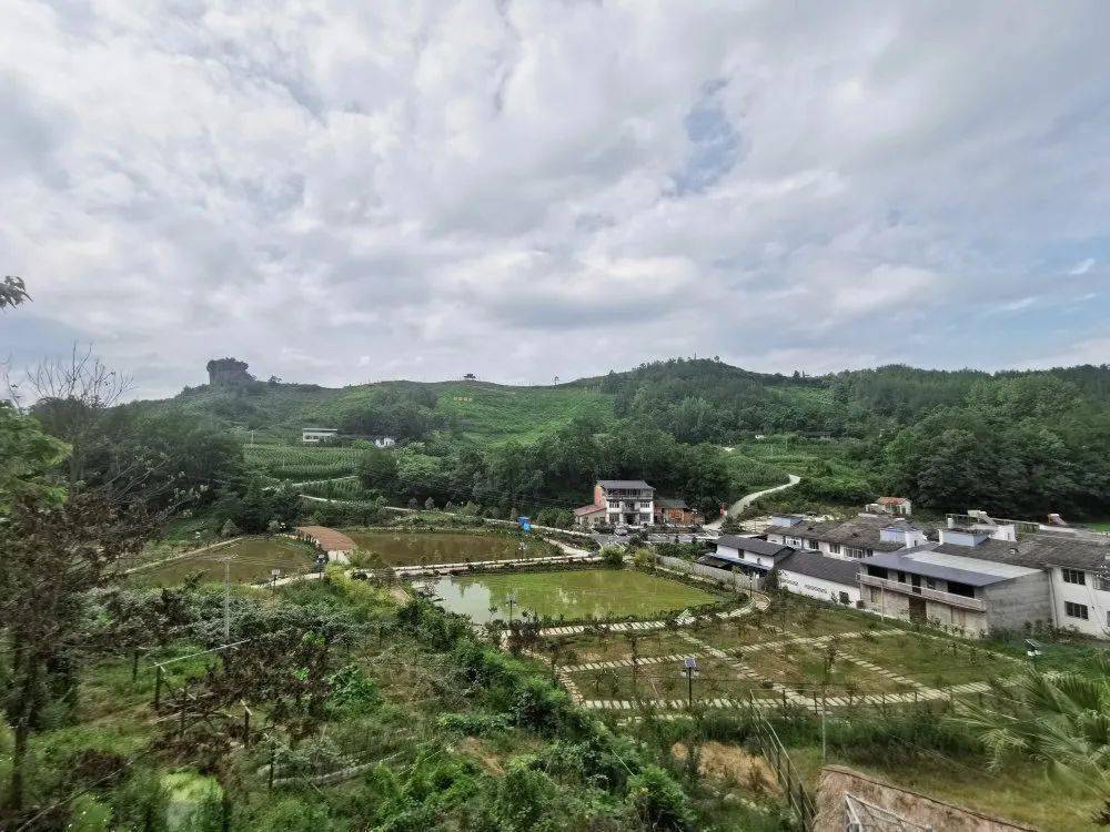 万州人均_万州烤鱼图片(2)