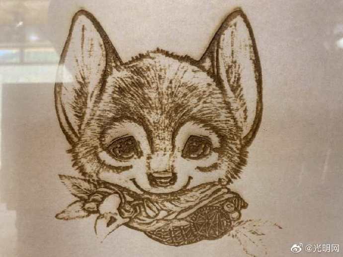 兴安盟|阿尔山白狼镇：树皮画画出脱贫新希望