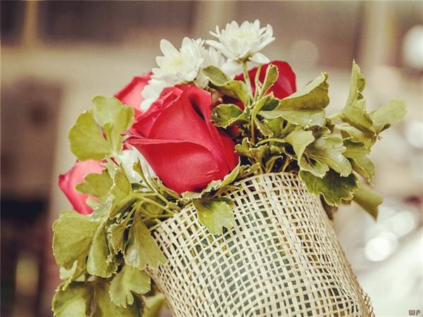 生活|很潮很流行的爱情心语，句句经典，让人百看不厌