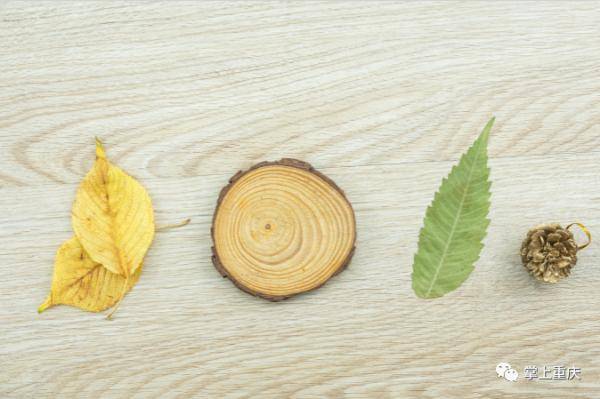 农谚|有趣的“立秋”农谚 一看就知道是智慧的结晶