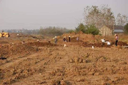 陈旭|考古系的学生毕业后都在做什么？