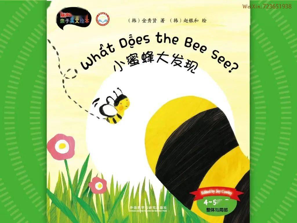 丽声第一套亲子英文绘本动画《11 what does the bee see 小蜜蜂大