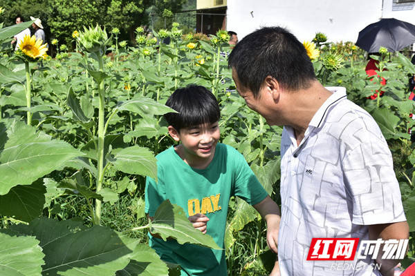 教育|醴陵：分布式体验教育，让学生快乐成长