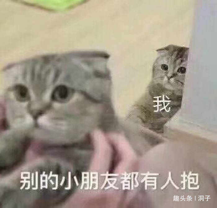 20e3922913554a0ebfca77a29fc96097.jpeg