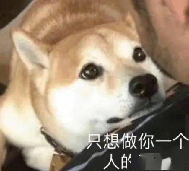 92ca75289bc246c28d2e1a4c95ae8082.jpeg