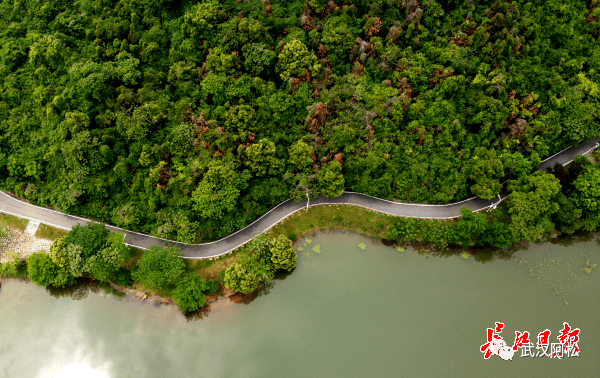 开花gdp_仙人掌开花图片(2)