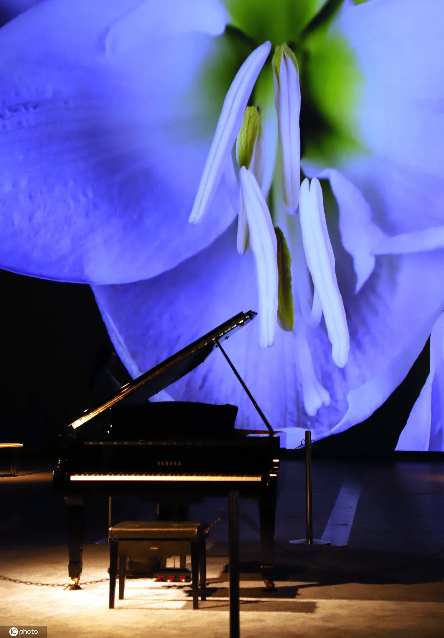 钢琴|日本科学未来馆推出酷炫装置 钢琴AI自动弹奏与背景交相辉映