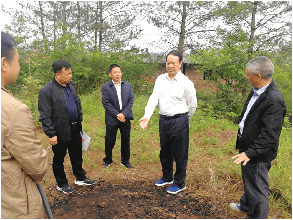 会昌县委书记蔡小卫(右二)