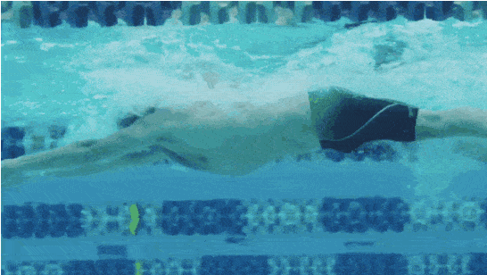 40b48c5a08094b9d973ccf9b6bbbce5c.gif