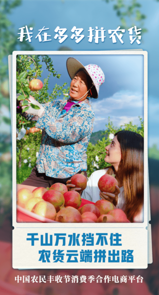 订单|预计“拼”出2亿笔订单，11万款最新农货上线拼多多“农货节”