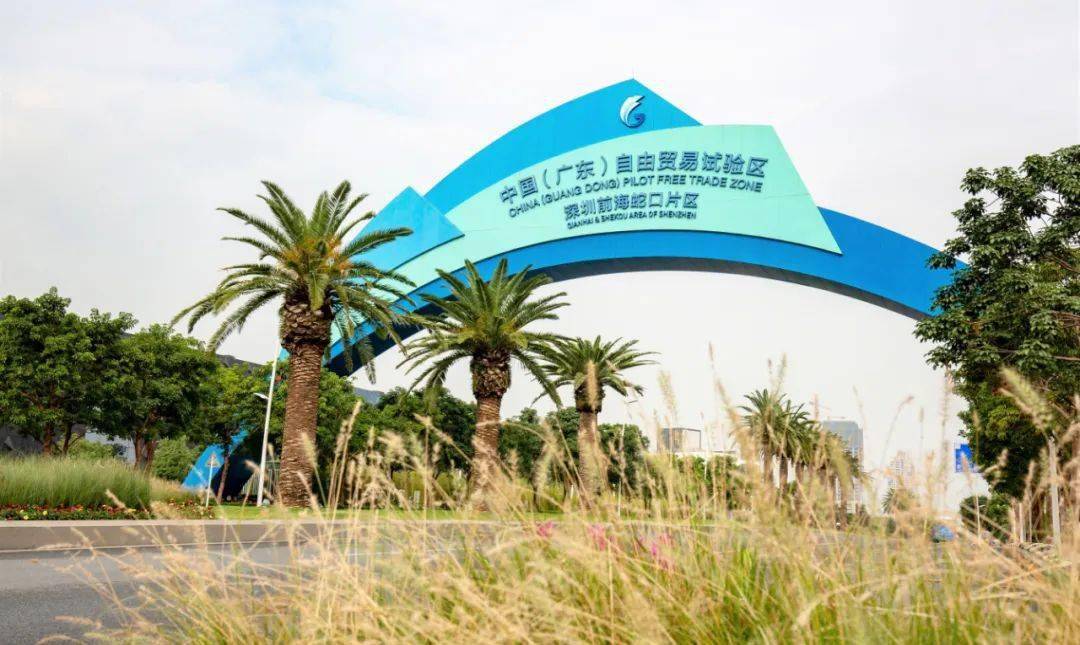 深圳特区成立是经济总量_深圳经济特区成立(3)