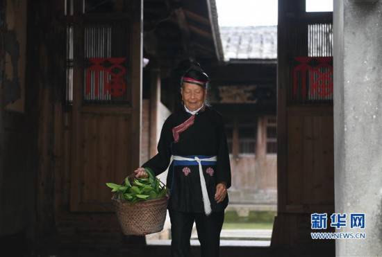 林善|89岁畲族老人钟莲娇为家乡“代言”