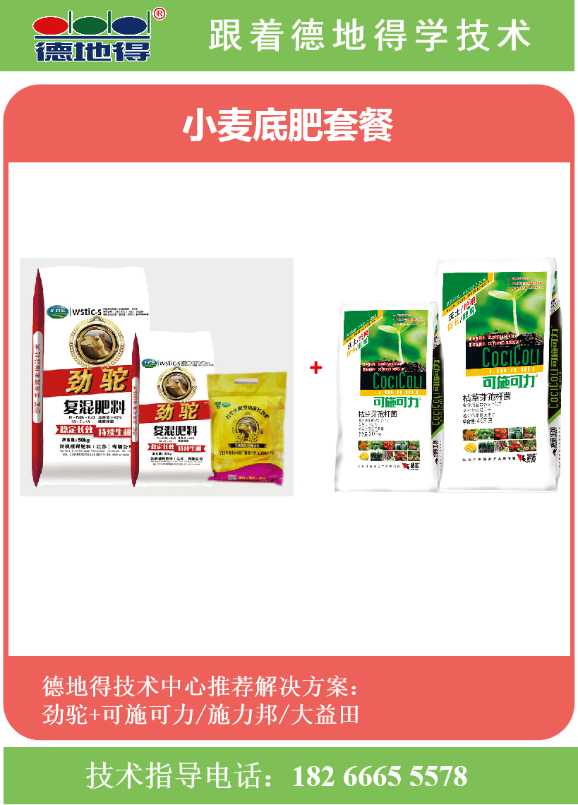 42c10a3a7b914345b7203b355bd358cd.png
