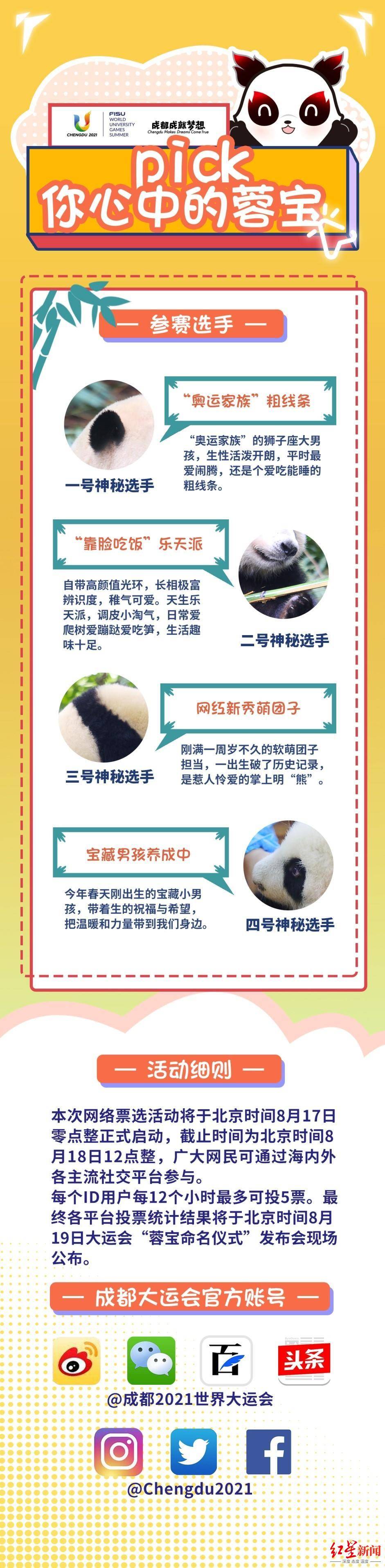熊猫基地|迎成都大运会倒计时一周年，谁是“真蓉宝”？成都熊猫基地喊你快来参与全球票选