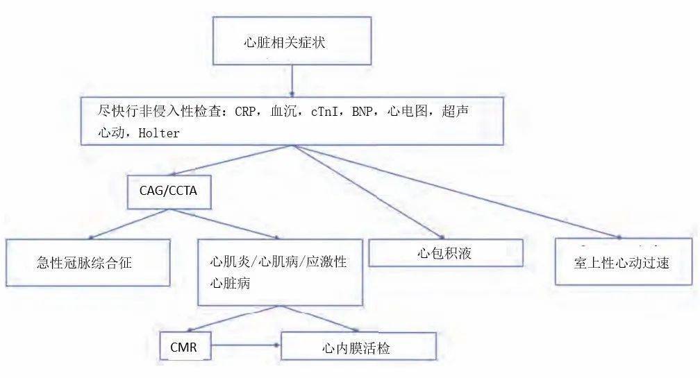 相关|致死率 50%！这个免疫治疗不良反应该如何诊治？