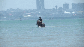 噩耗传来|3男子骑马冲进海里救起12岁男孩！半个月后，噩耗传来…