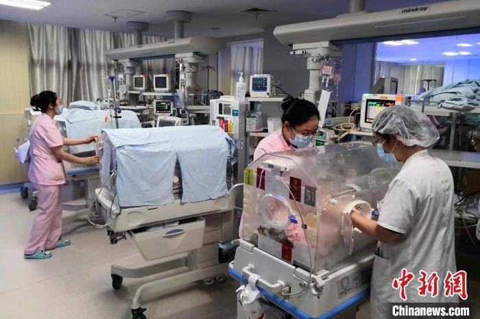 自然|湖北宜昌产妇诞下罕见龙凤四胞胎