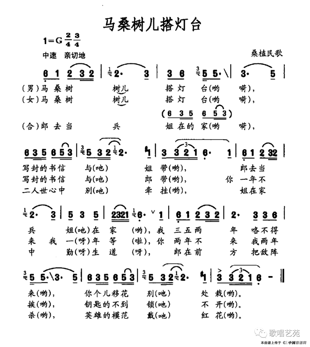 青青马桑树简谱_青青马桑树图片(2)