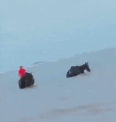 噩耗传来|3男子骑马冲进海里救起12岁男孩！半个月后，噩耗传来…