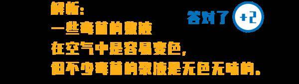 杨维涵|云南人吃菌等级考试