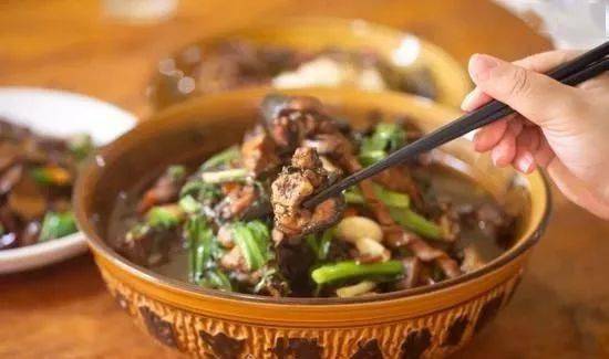 热带雨林|还好吃!【逛吃】西双版纳不仅美